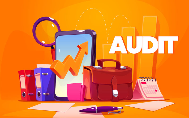 Audit Audit